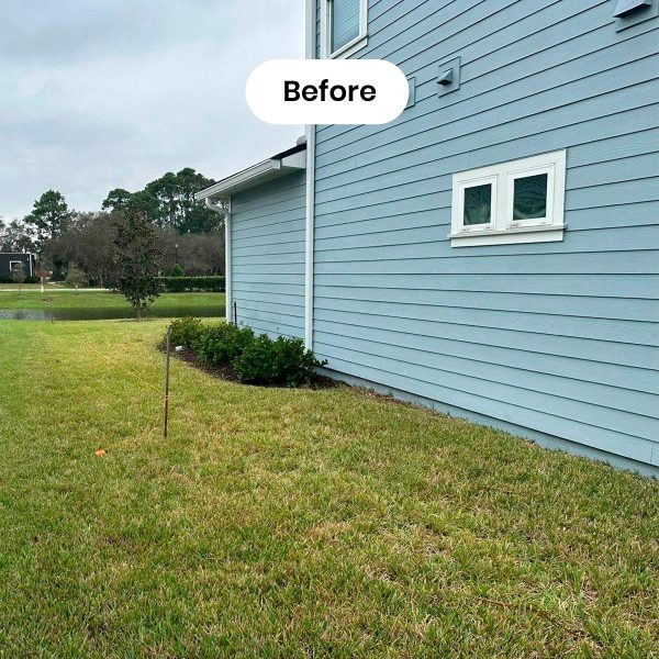 Before_bluehouse_maxifence_fences_orlando